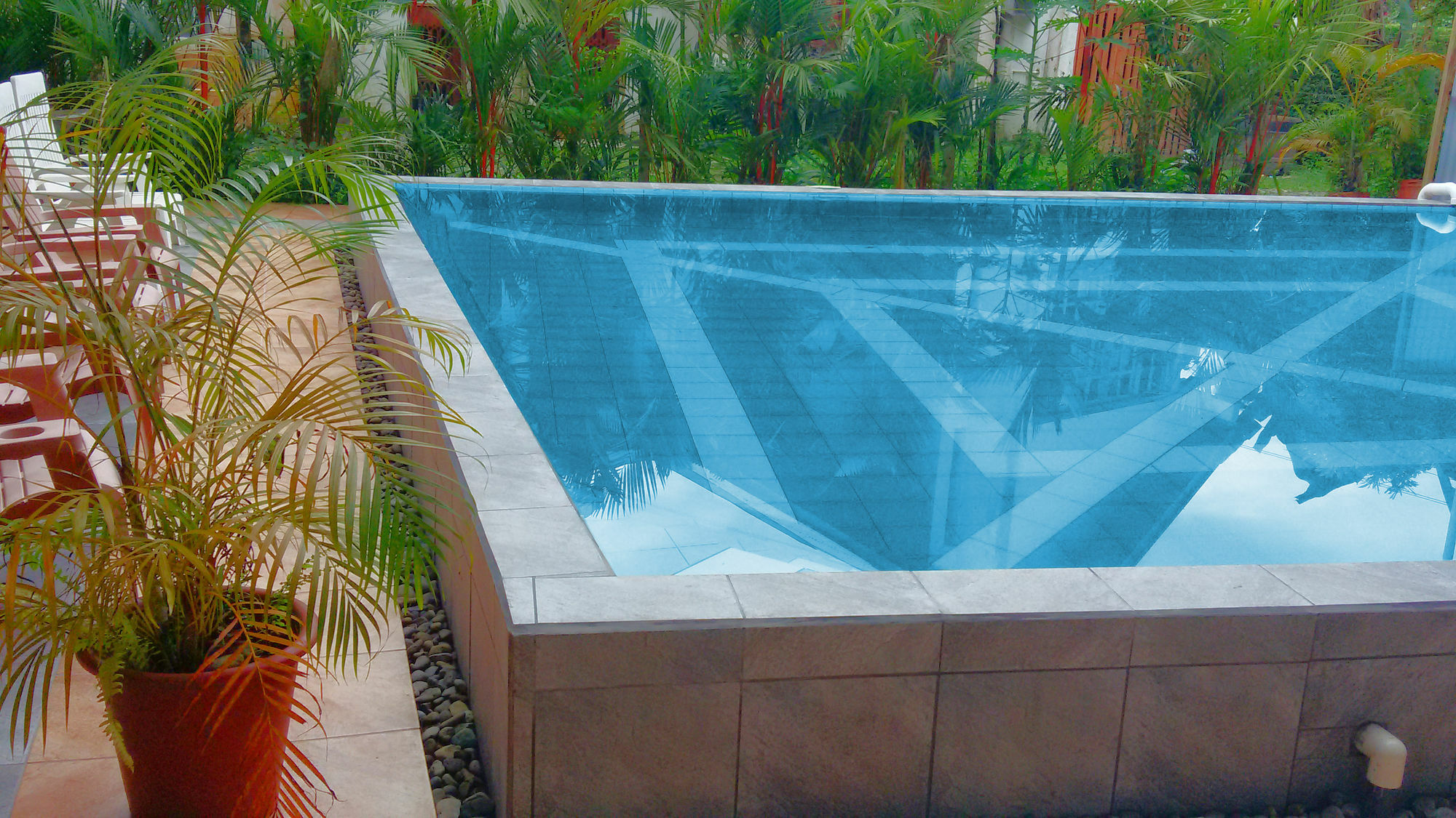 Lizard King Resort Puerto Viejo de Talamanca Exterior photo
